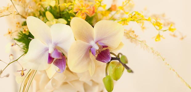 [保存版]花のある暮らしのすすめ：初心者さんが知っておきたい５つのポイント